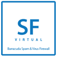 Barracuda Email Security Gateway Virtual 300 - 1 Monat Base License
